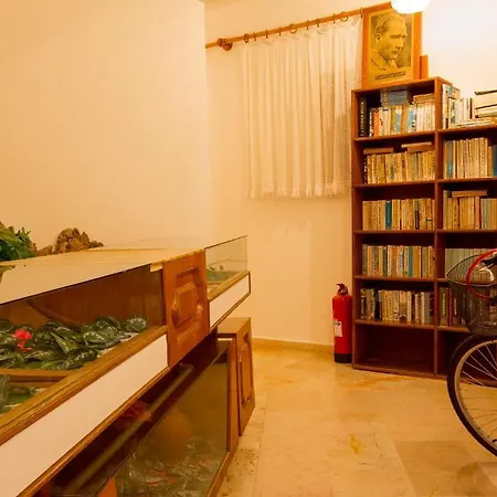 Oenemli Appartement Sidé